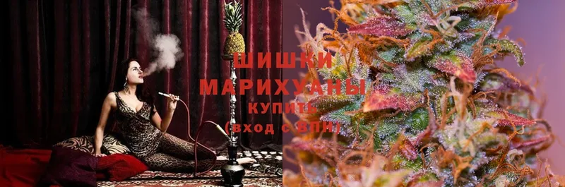 хочу наркоту  Кинель  Шишки марихуана Amnesia 